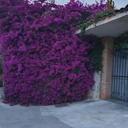La Latomia Villa Nei Pressi Del Teatro Greco Syrakus Exterior foto