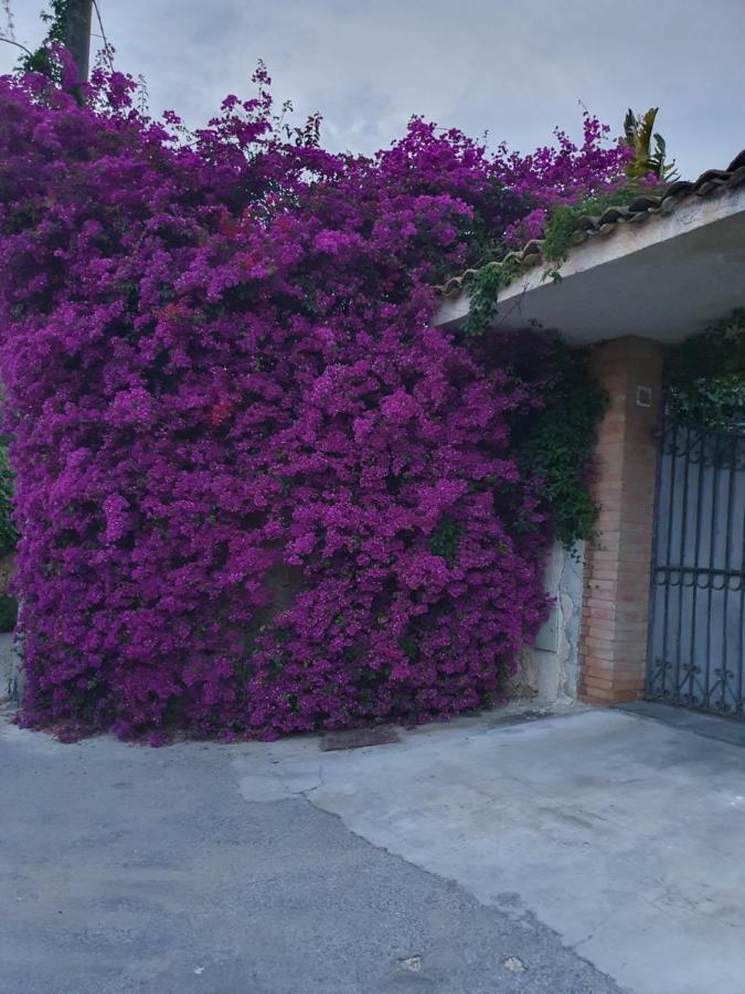 La Latomia Villa Nei Pressi Del Teatro Greco Syrakus Exterior foto